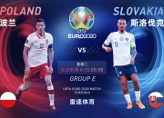 开云APP-波兰大胜斯洛伐克，取得欧锦赛强资格的简单介绍