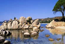 开云官网-拜仁制霸中国，罗德里如何成为跨越足球与市场的关键先生