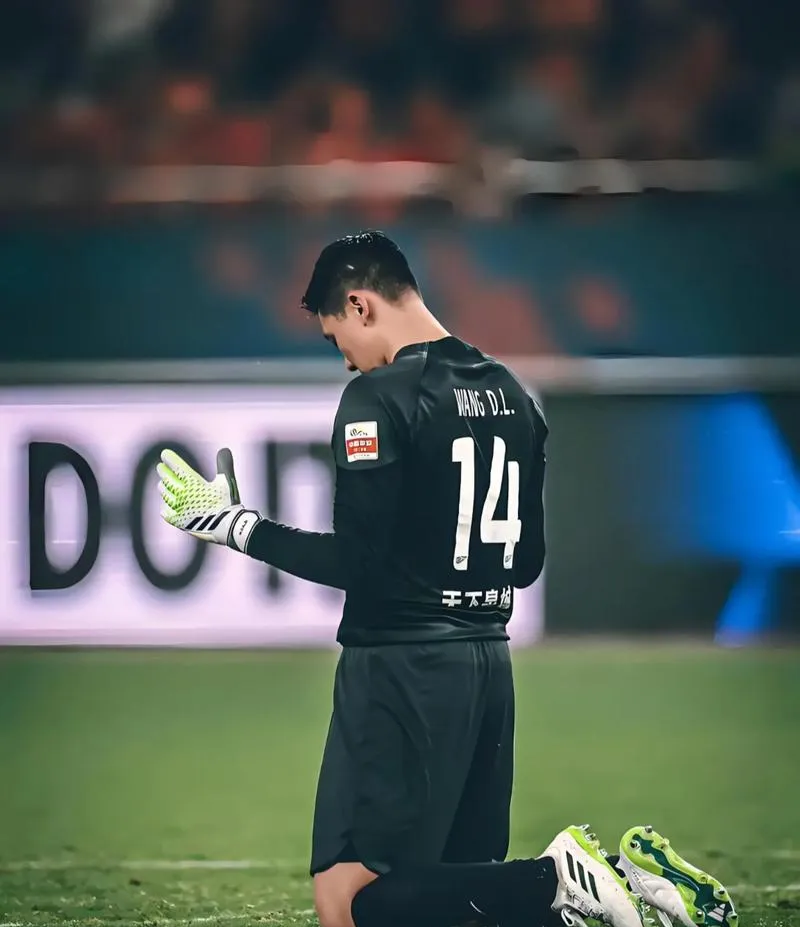 申花主力受伤，实力受到困扰的简单介绍