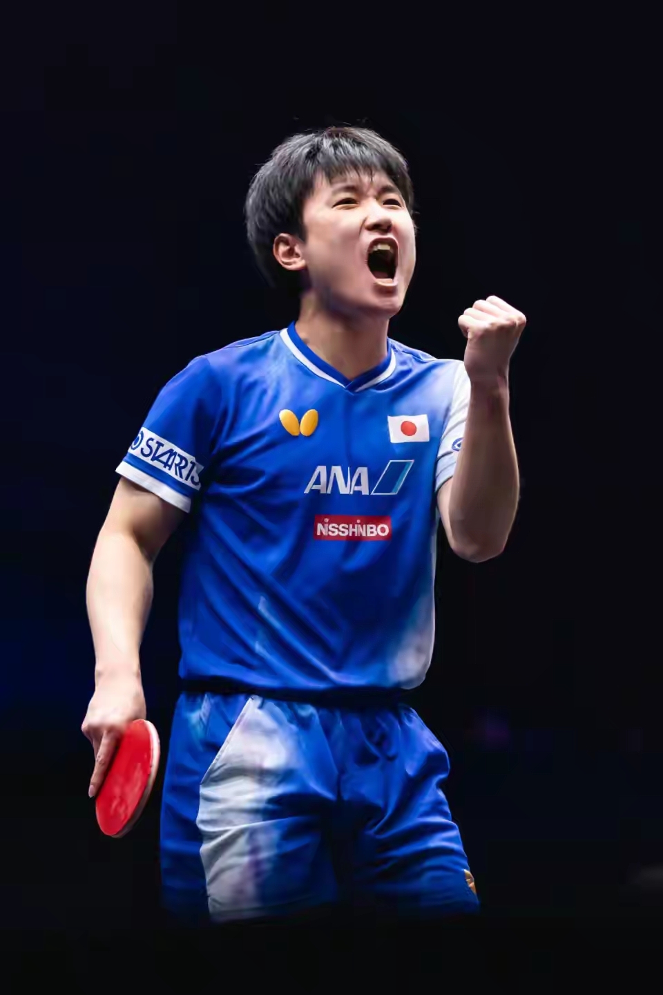 比利时乒乓球队鏖战日本乒乓球队，王皓打破历史纪录的简单介绍