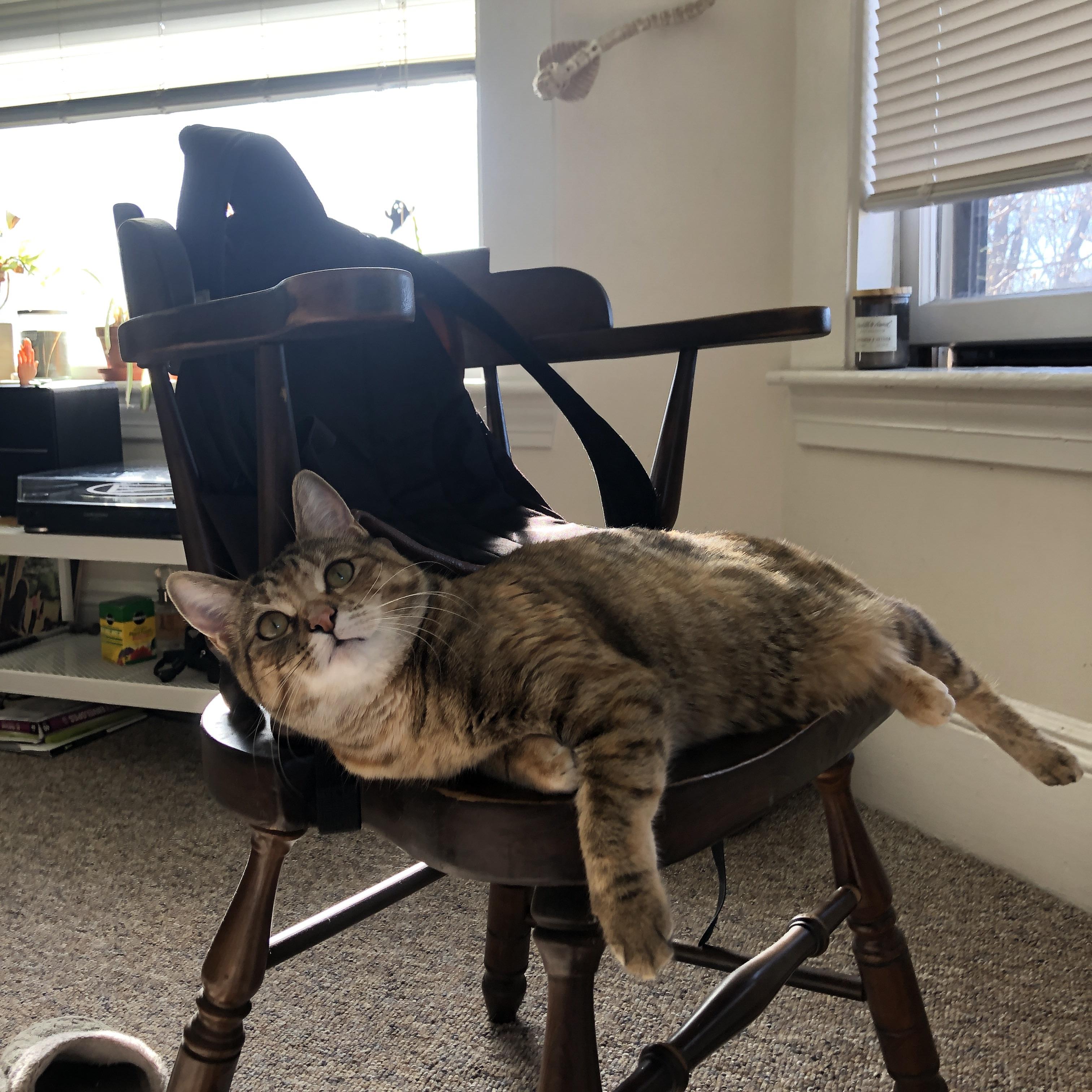 范弗利特奥运前哨战封神，北京队力克骑士彰显中国篮球新气象