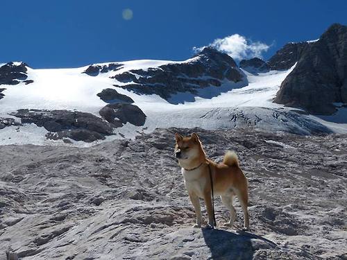 哥斯达黎加正面击溃冰岛，皮克刷新纪录，一场定义坚韧与传承的胜利