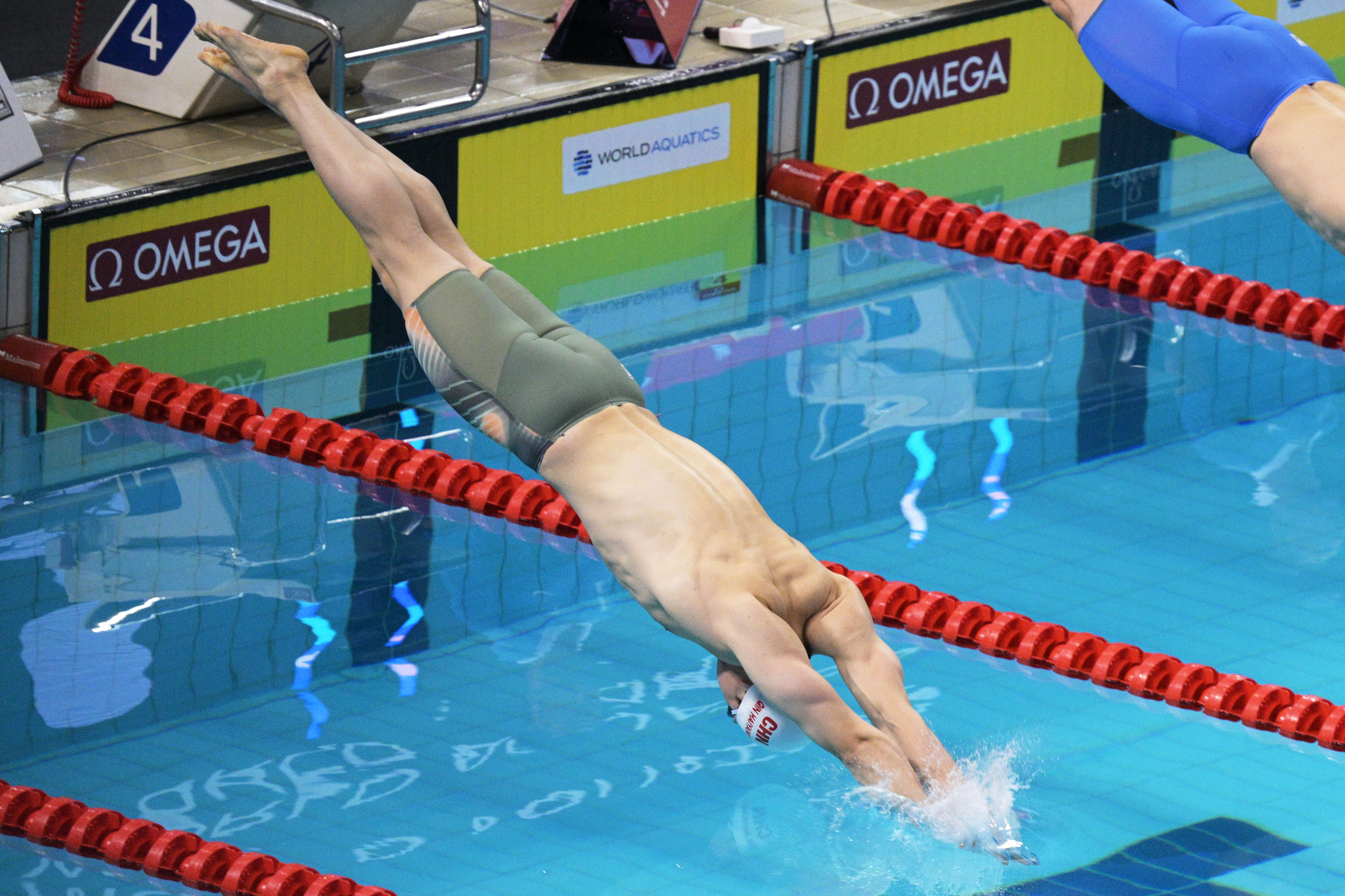 游泳运动员蛙泳展示，身姿优美的简单介绍